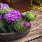 propiedades cardo mariano