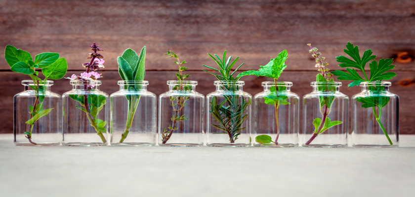 remedios naturales para el asma