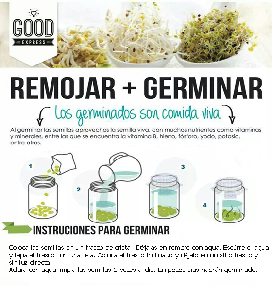 germinados y fementados