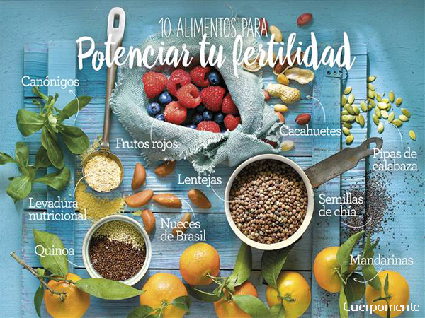 alimentos y fertilidad