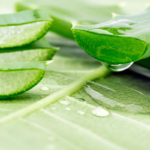 remedios para las hemorroides