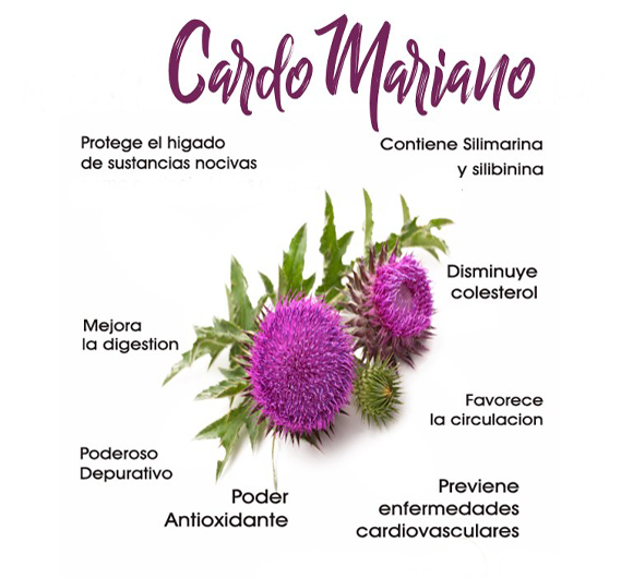 cómo depurar el hígado