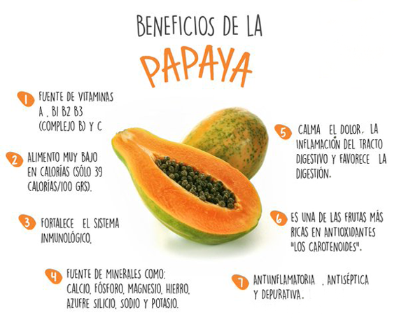 digestiones saludables