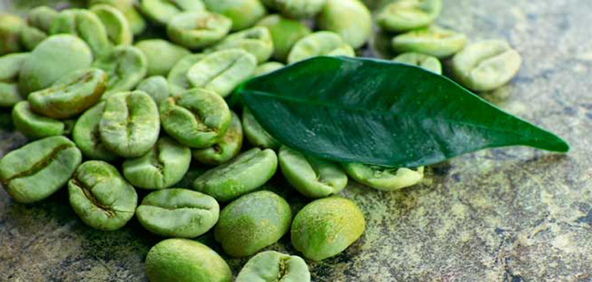 propiedades del café verde