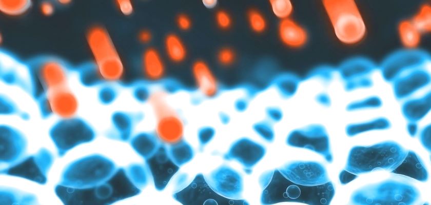 estres oxidativo, antioxidantes