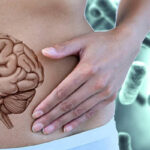 probioticos, salud intestinal