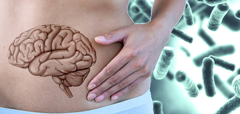 probioticos, salud intestinal