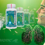 alergia,primavera,pulm,pulmones,sistema respiratorio