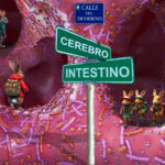 futuro,nutricion,cerebro,duodeno