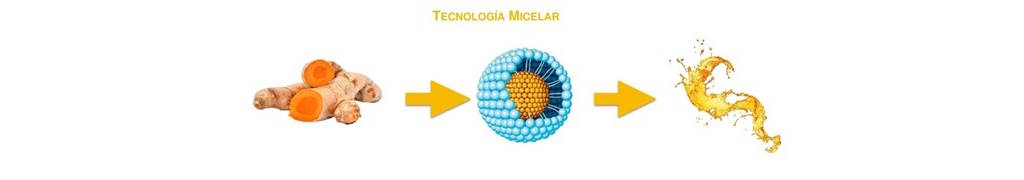 nuevo,año,micelar,curcuma