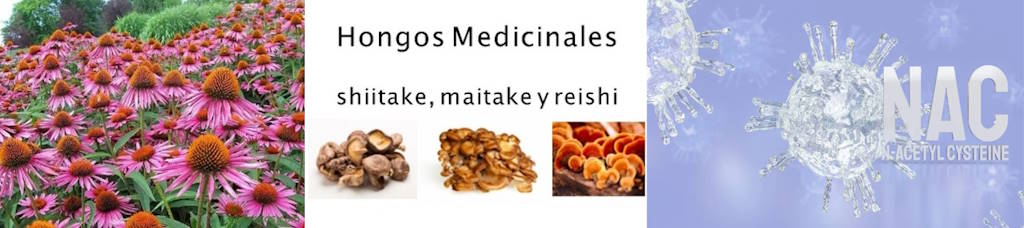 primavera,alergia,equinacea,hongos,nac