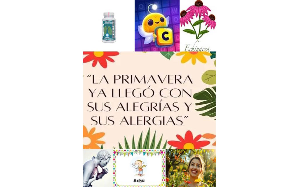 primavera,alergia,flores,equinacea,vitaminas,sintomas