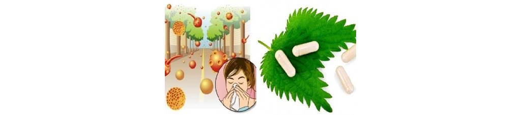 primavera,alergia,naturaleza,polen