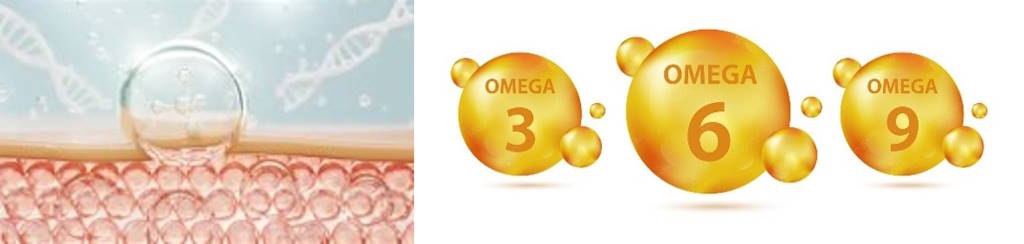 verano,omegas,piel
